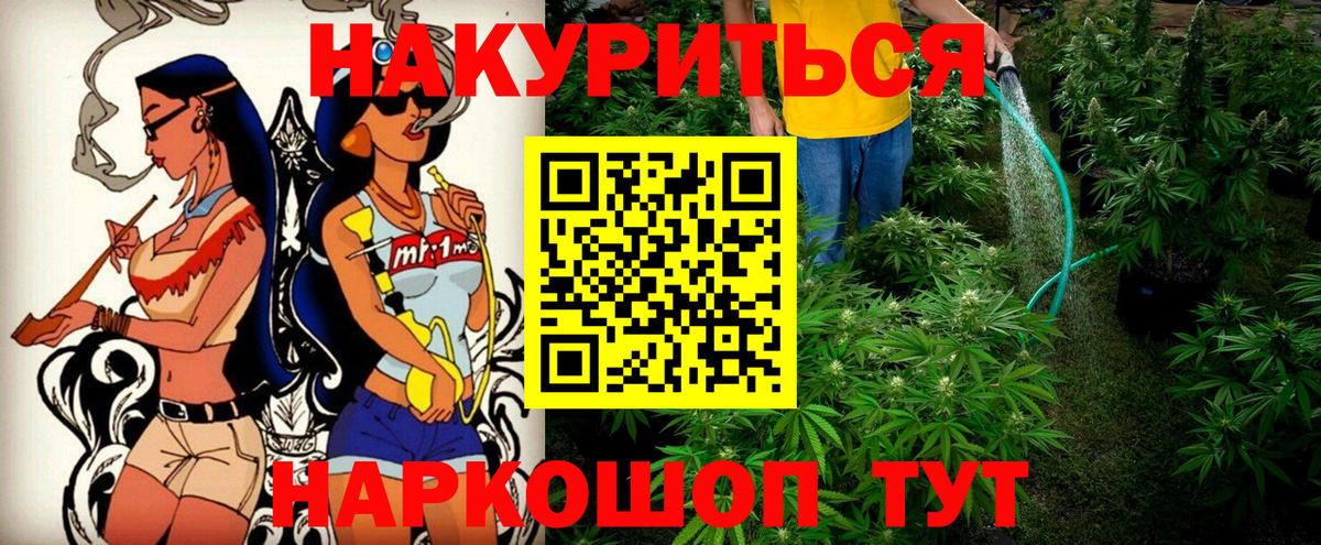 Конопля Ganja  Конопля индика  Прохладный  Вход с VPN 